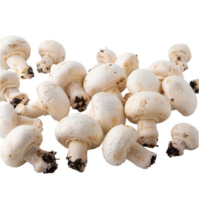 Шампиньоны свежие 500 г - купить в Урмыже